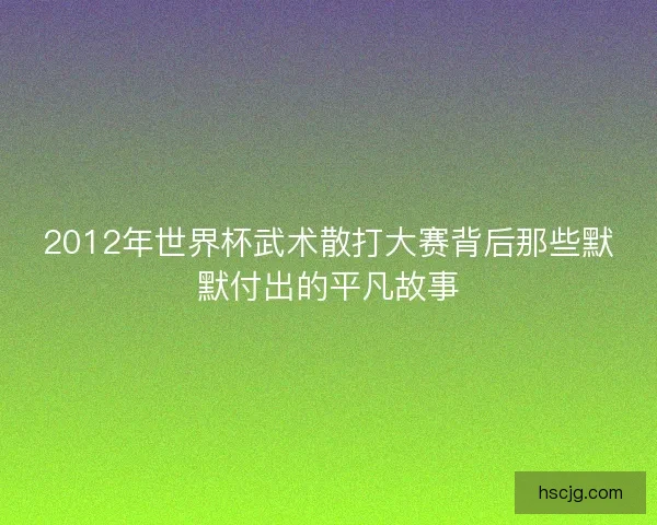 2012年世界杯武术散打大赛背后那些默默付出的平凡故事
